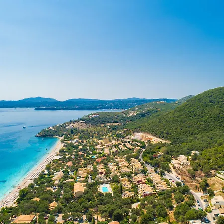 Alya View