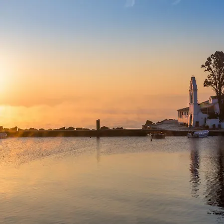 Alya View *