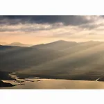 Alya View