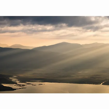 Alya View