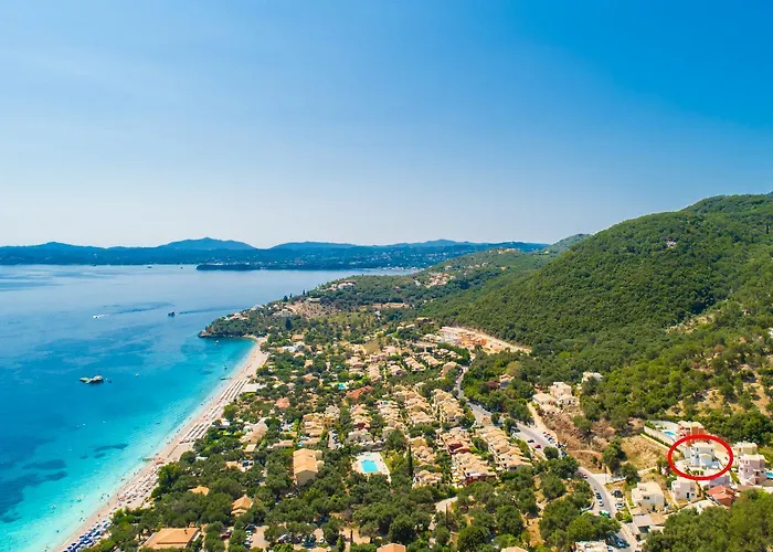 Alya View