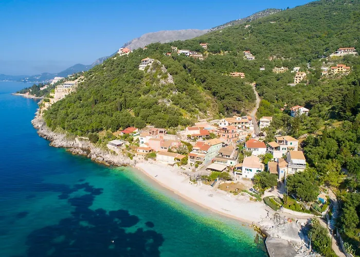 Alya View